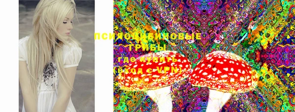 прущие грибы Краснослободск
