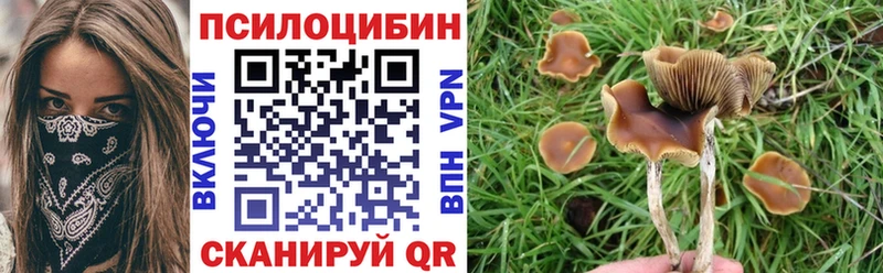 Купить Балей Галлюциногенные грибы Magic Shrooms