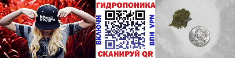 Канабис White Widow  Купить  Балей 
